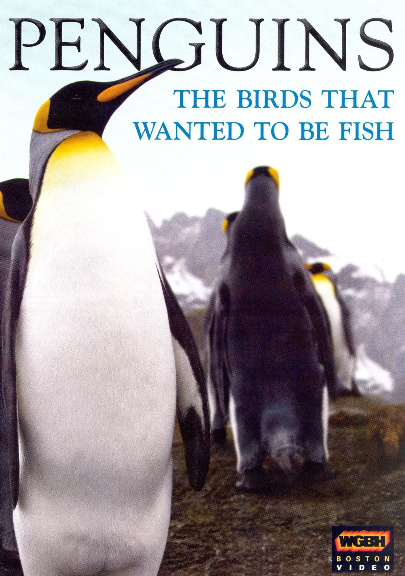 Penguins: The Birds Who Wanted to Be Fish