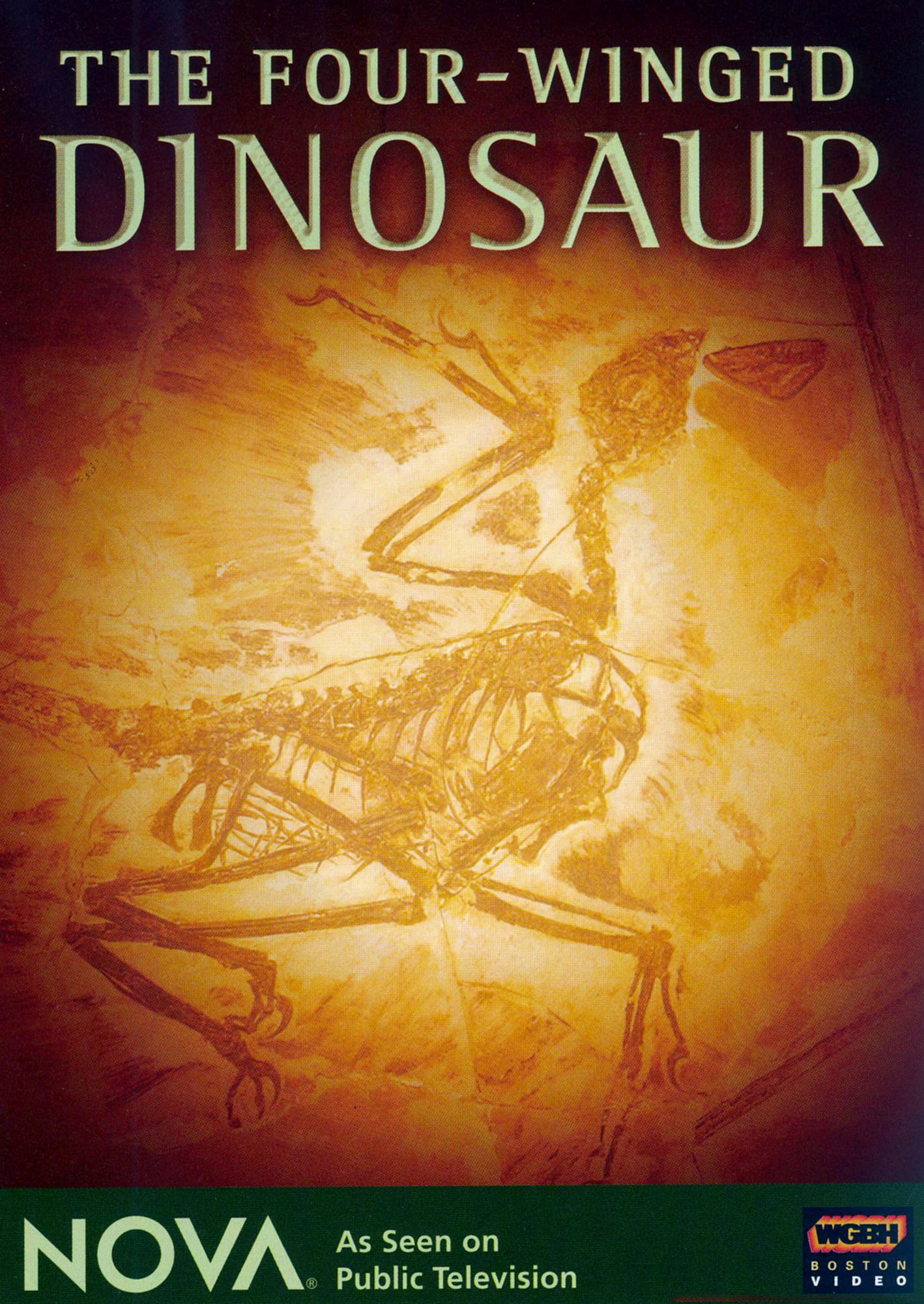 NOVA: The Four-Winged Dinosaur