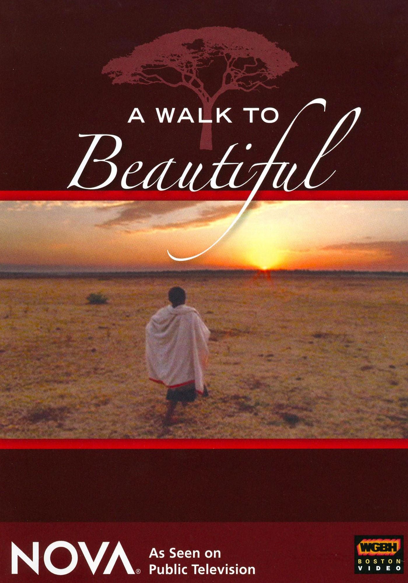 NOVA: A Walk to Beautiful