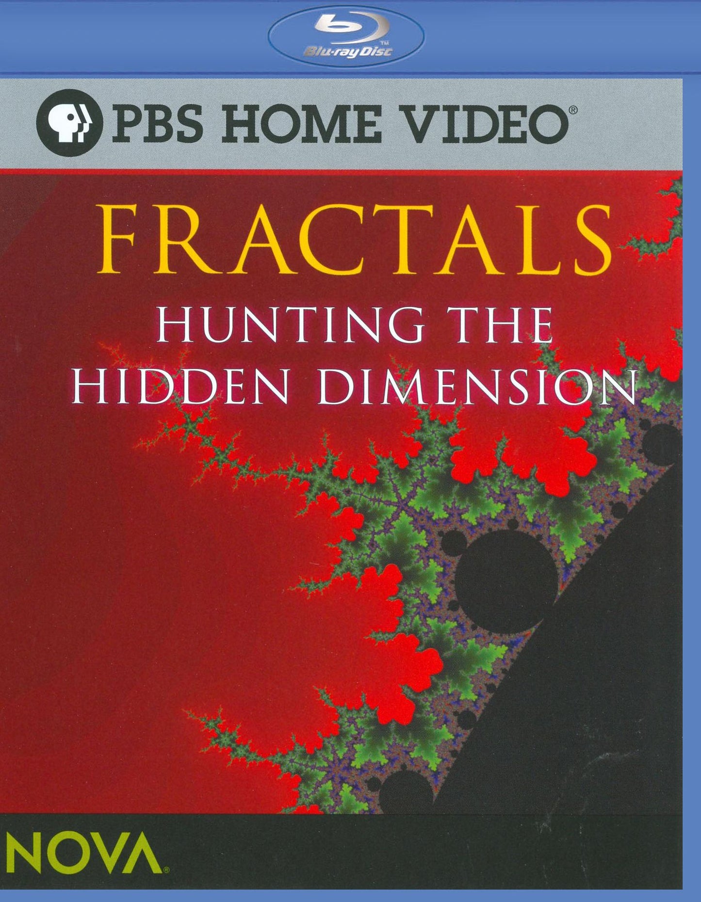 NOVA: Fractals - Hunting the Hidden Dimension [Blu-ray]