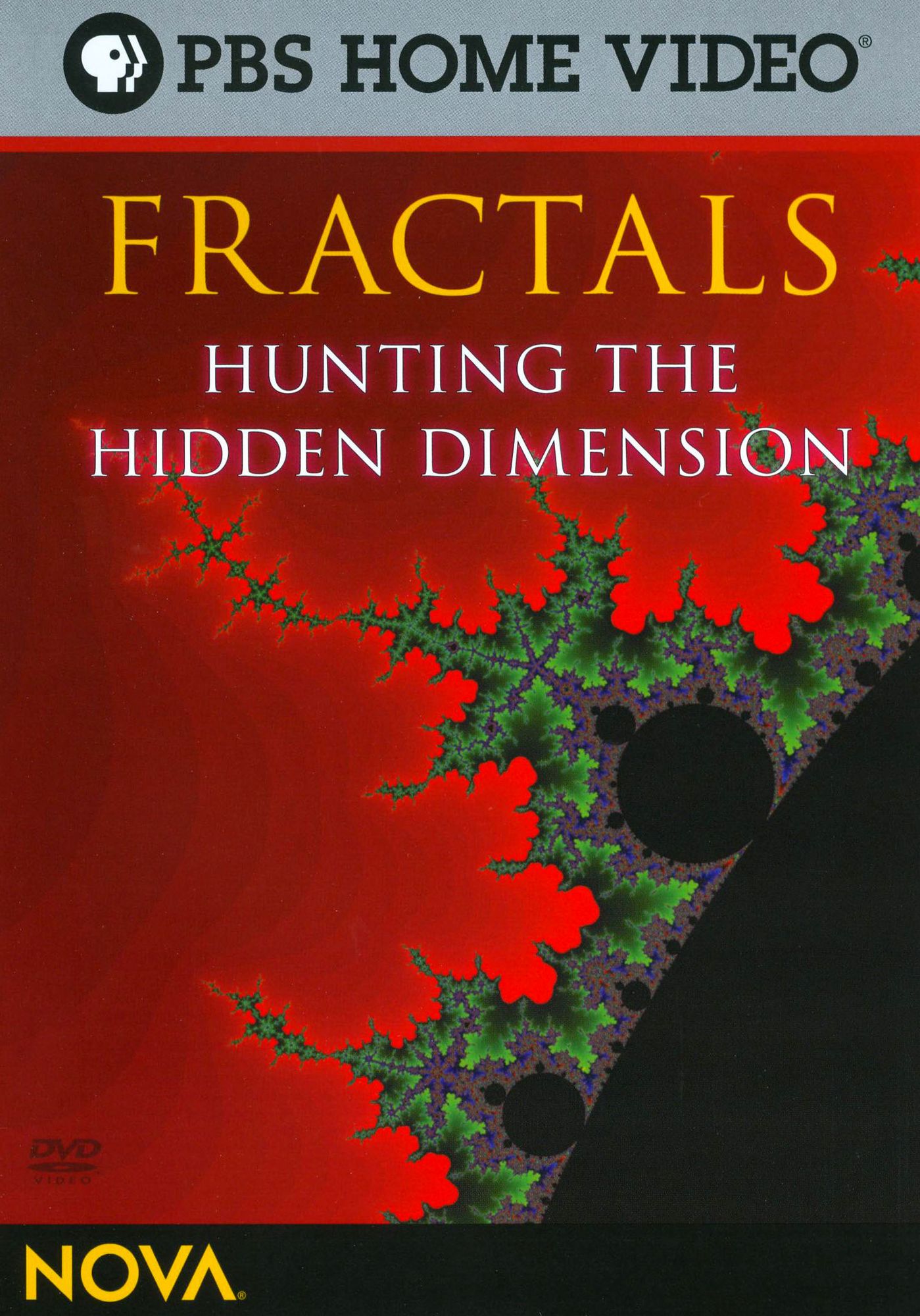 NOVA: Fractals - Hunting the Hidden Dimension