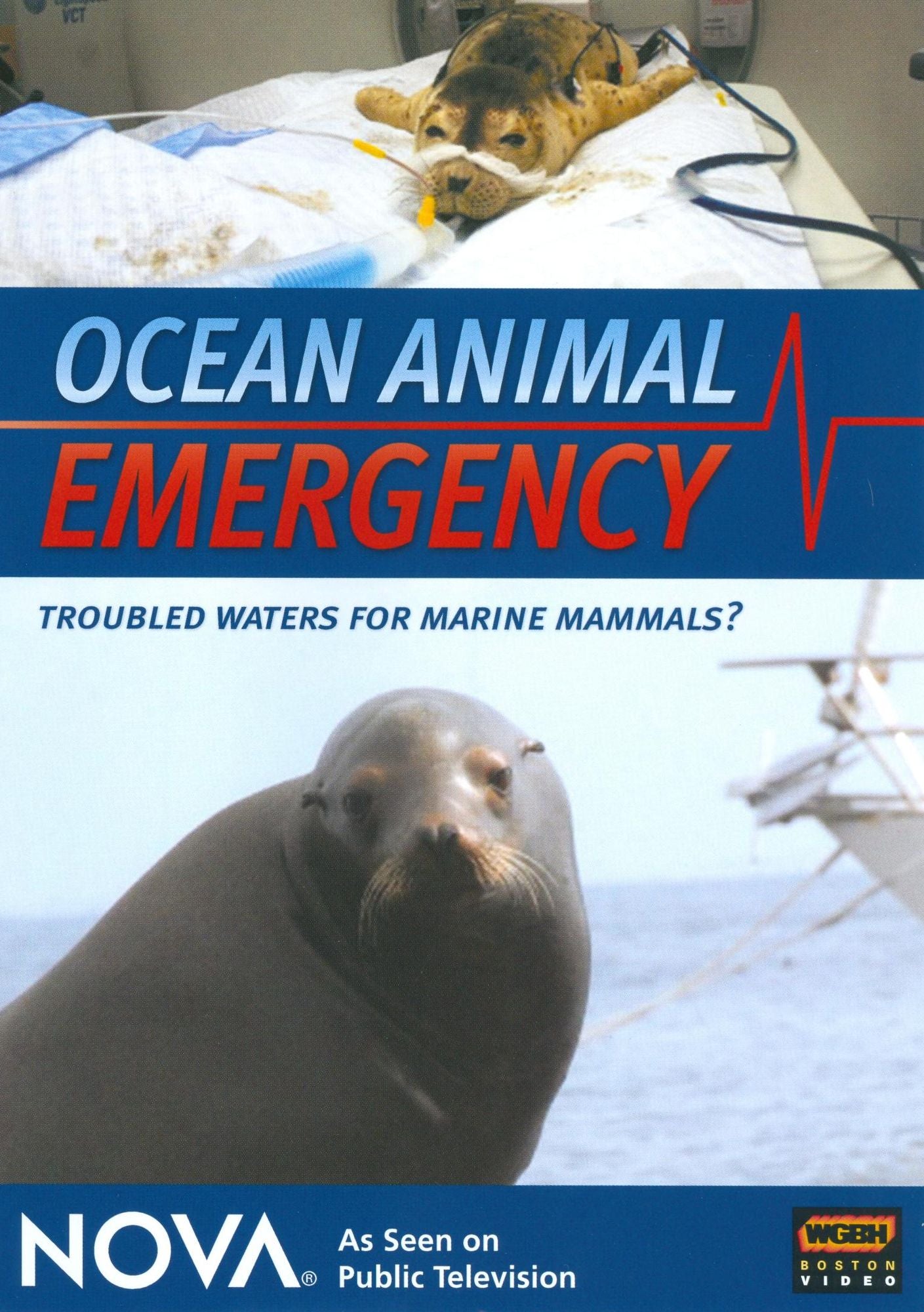 NOVA: Ocean Animal Emergency