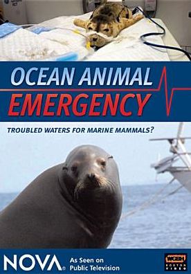 NOVA: Ocean Animal Emergency