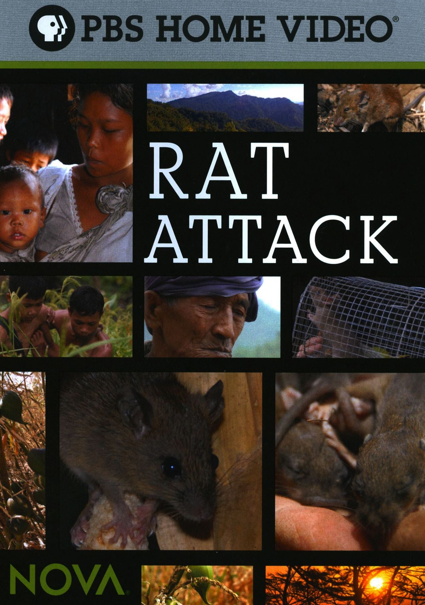 NOVA: Rat Attack