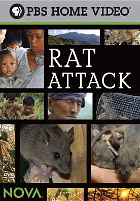 NOVA: Rat Attack