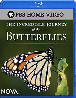 NOVA: The Incredible Journey of the Butterflies [Blu-ray]