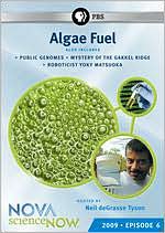 NOVA: scienceNOW: 2009 Episode 6 - Algae Fuel