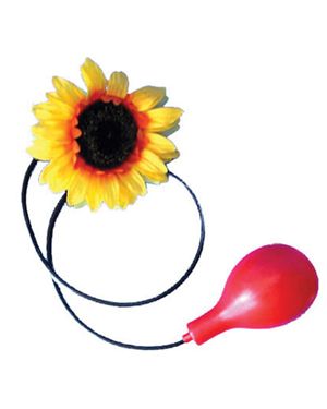 Funny Fashion 755096FF Squirting Clown Flower