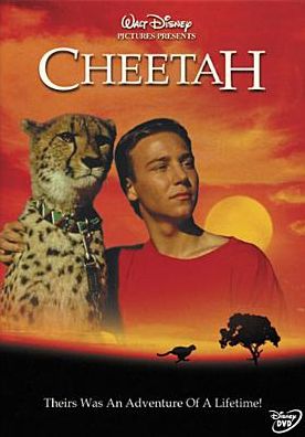Cheetah