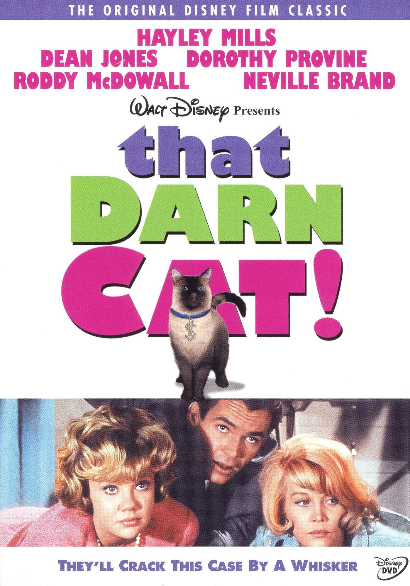 That Darn Cat!