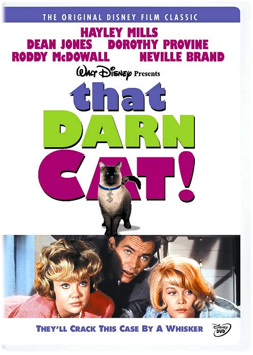 That Darn Cat!