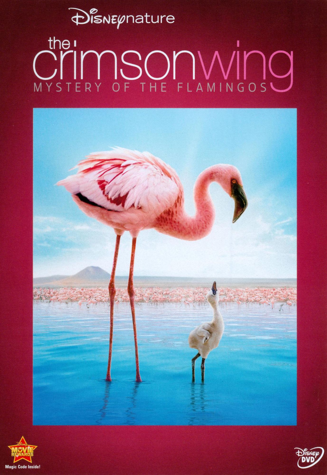 Disneynature: The Crimson Wing - The Mystery of the Flamingo