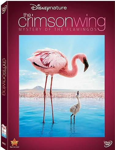 Disneynature: The Crimson Wing - The Mystery of the Flamingo