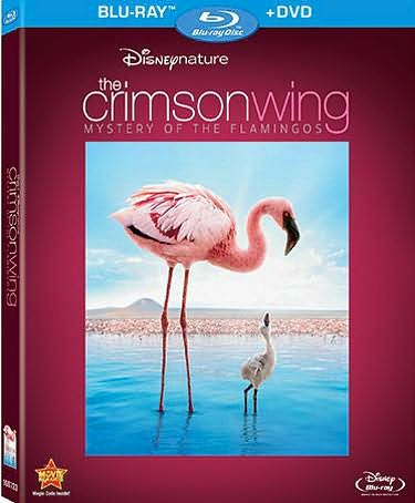 Disneynature: The Crimson Wing - Mystery of the Flamingos [Blu-ray/DVD]