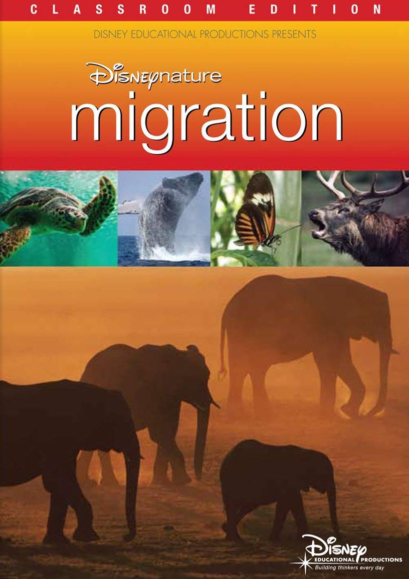 Disneynature: Migration