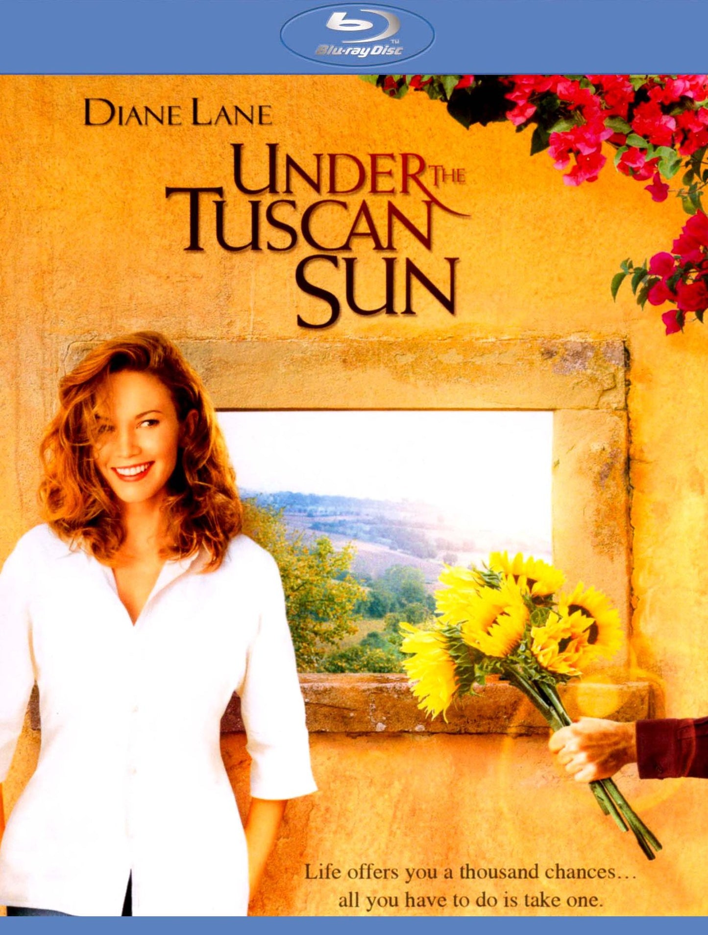 Under the Tuscan Sun [Blu-ray]