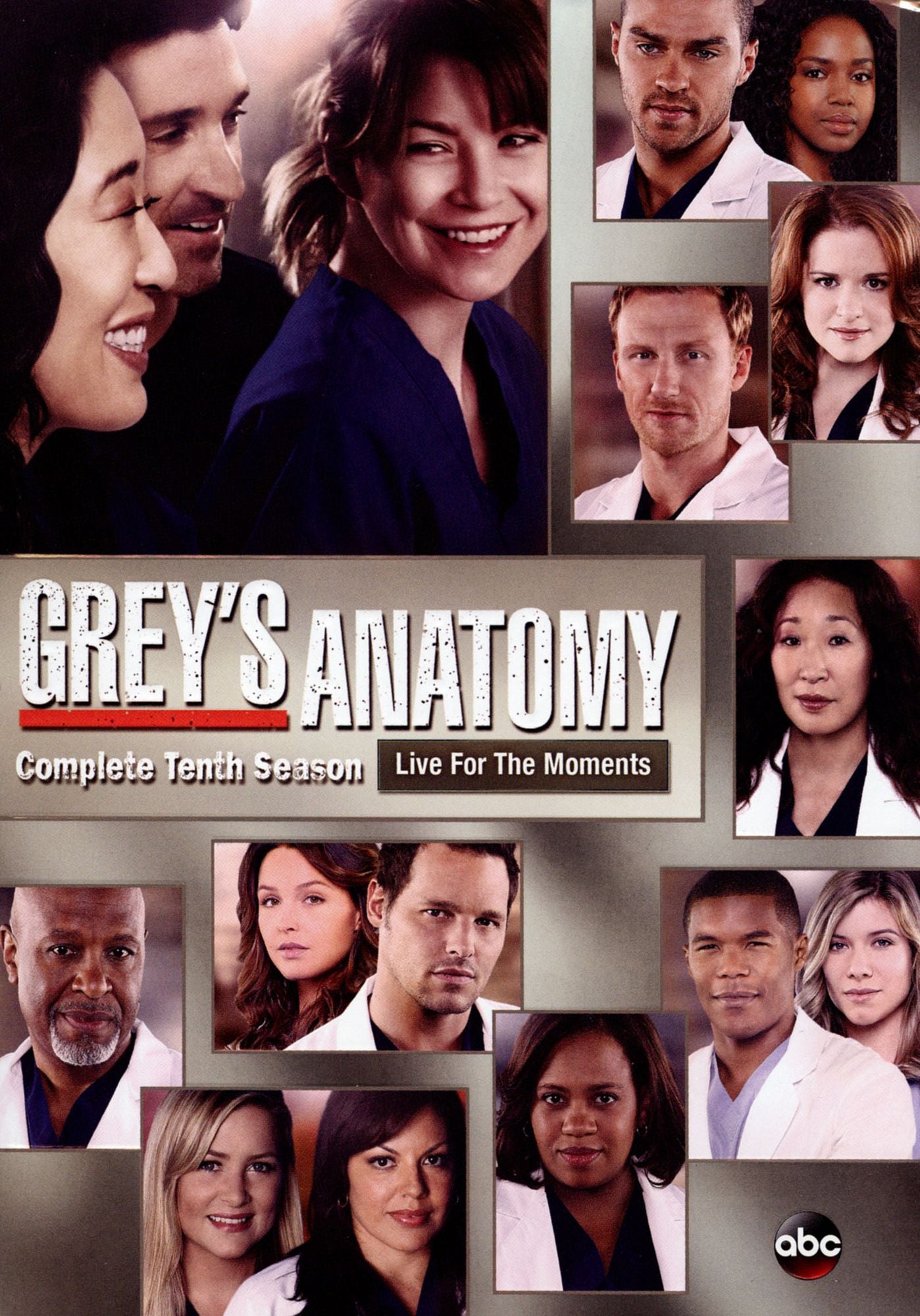 Grey's Anatomy: The Complete Tenth Season