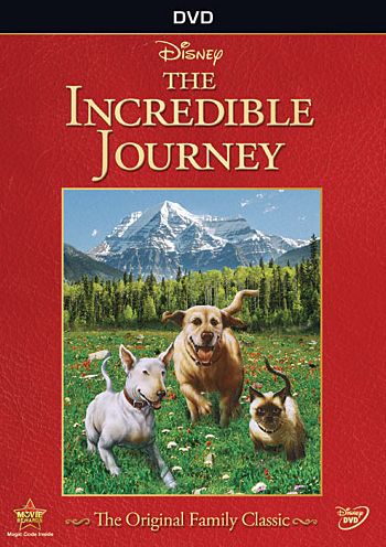 The Incredible Journey