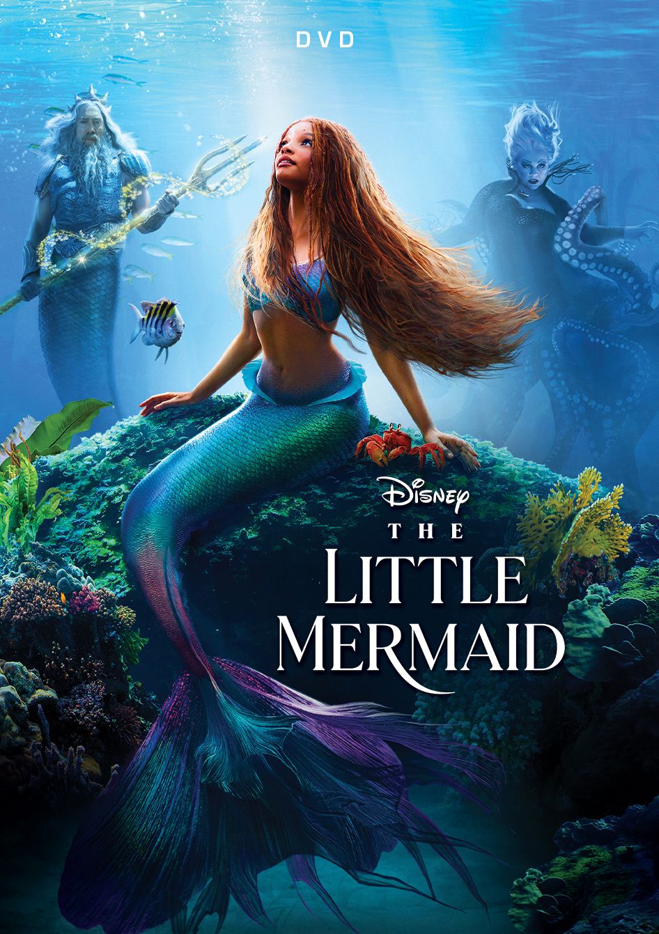 Little Mermaid (2023)