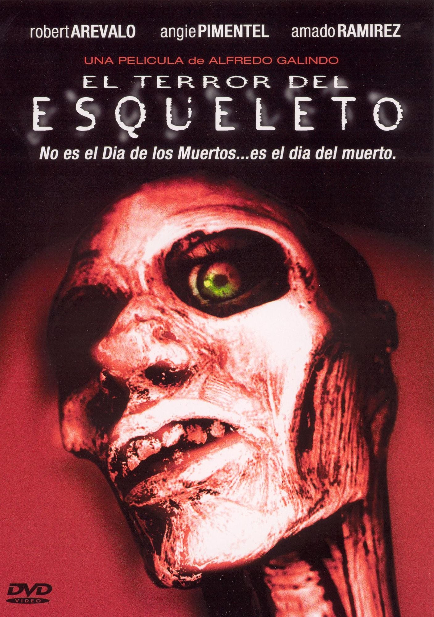 El Terror Del Esqueleto