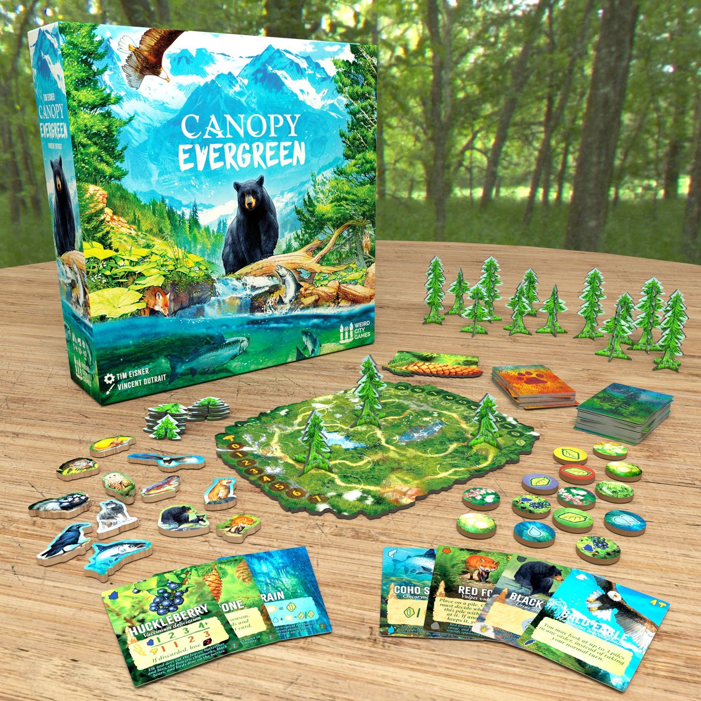 Canopy Evergreen by Tim Eisner