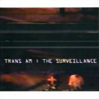 The Surveillance