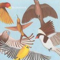 Looks At The Bird