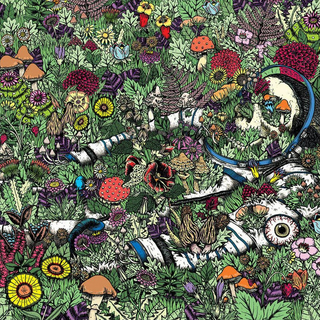 Whatever Forever [Lp]