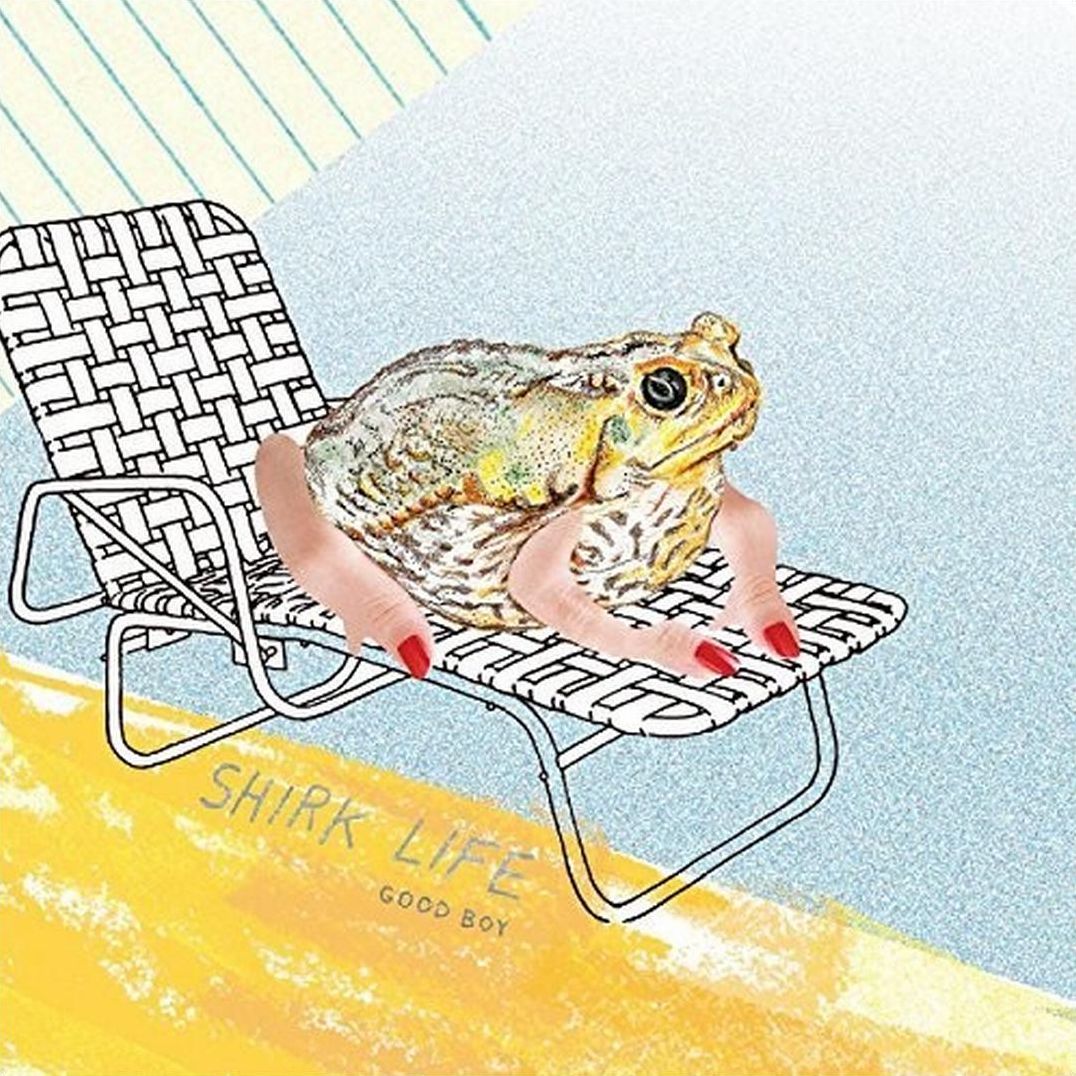 Shirk Life/plum Double