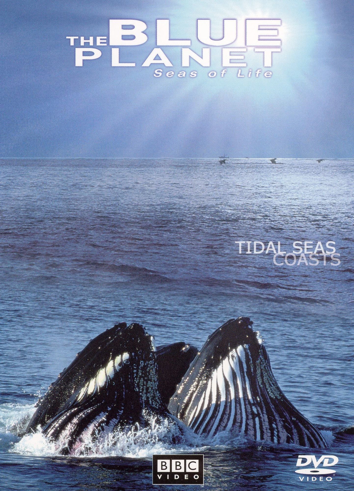 The Blue Planet: Seas of Life - Tidal Seas/Coasts