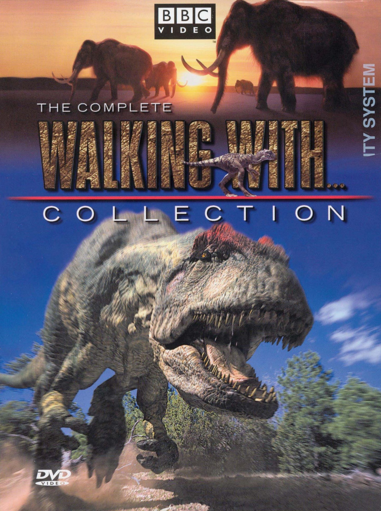 Complete Walking With Collection