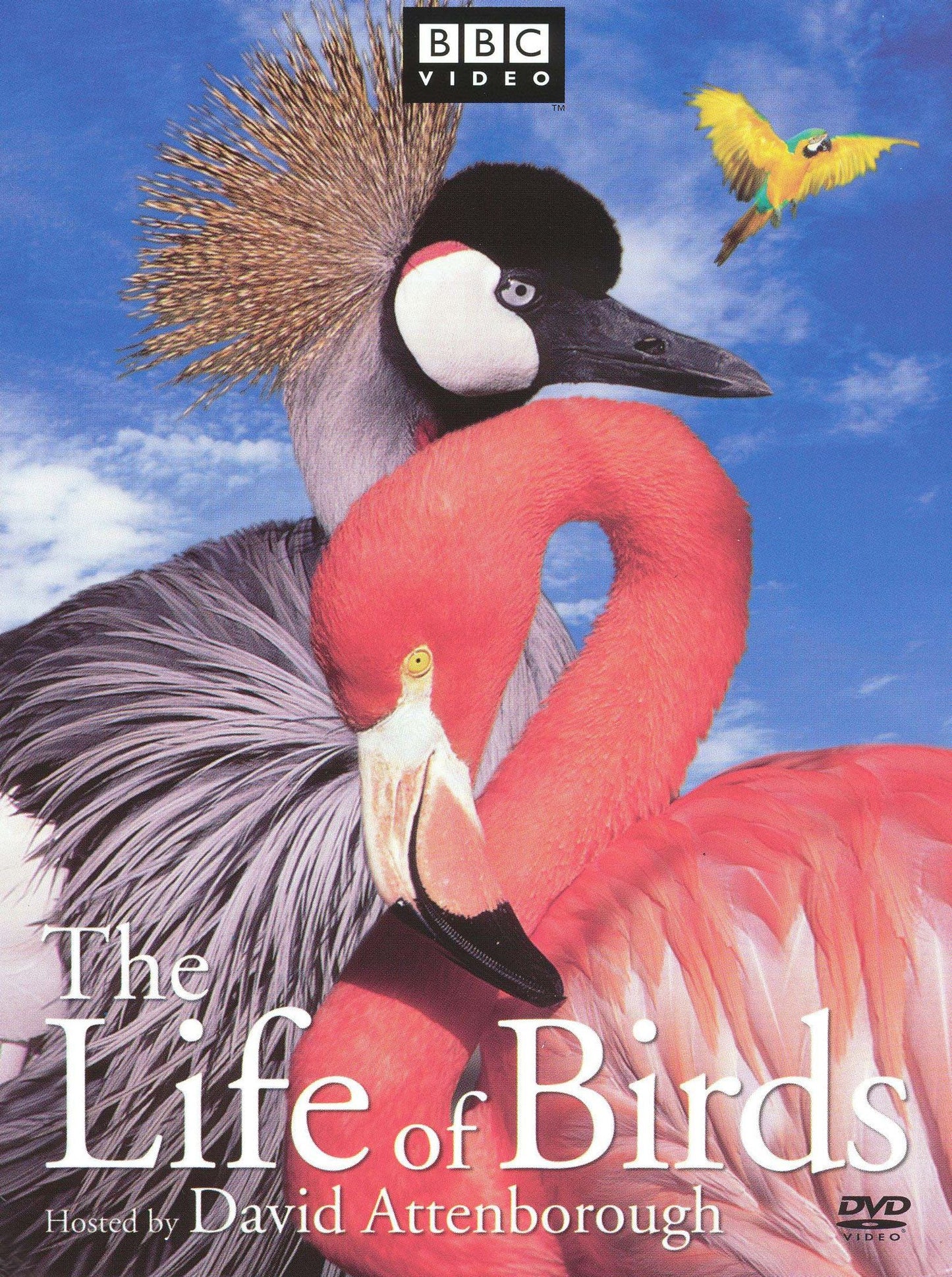 The Life of Birds [3 Discs]