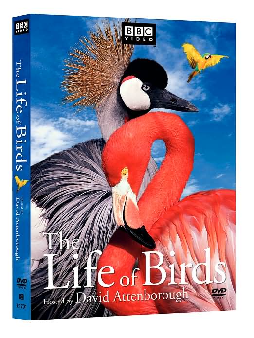 The Life of Birds [3 Discs]