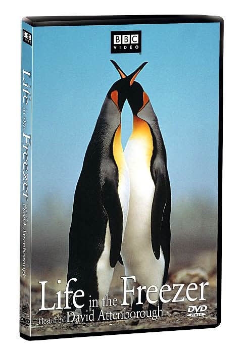 Life in the Freezer