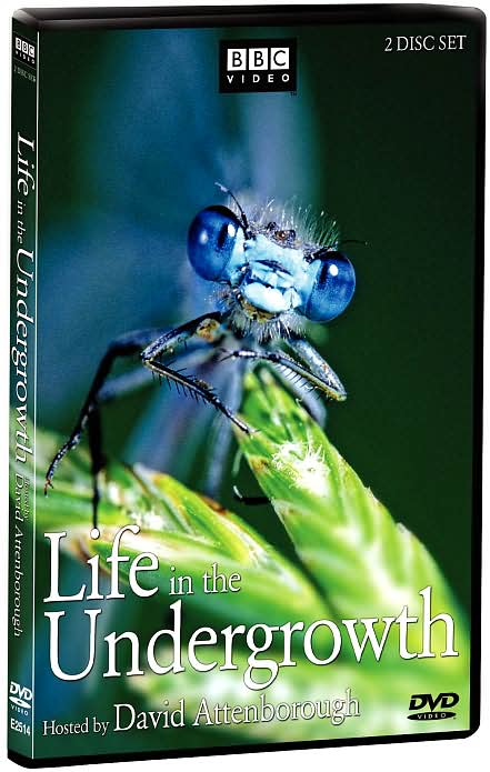 Life in the Undergrowth [2 Discs]