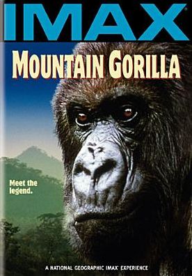 Mountain Gorilla