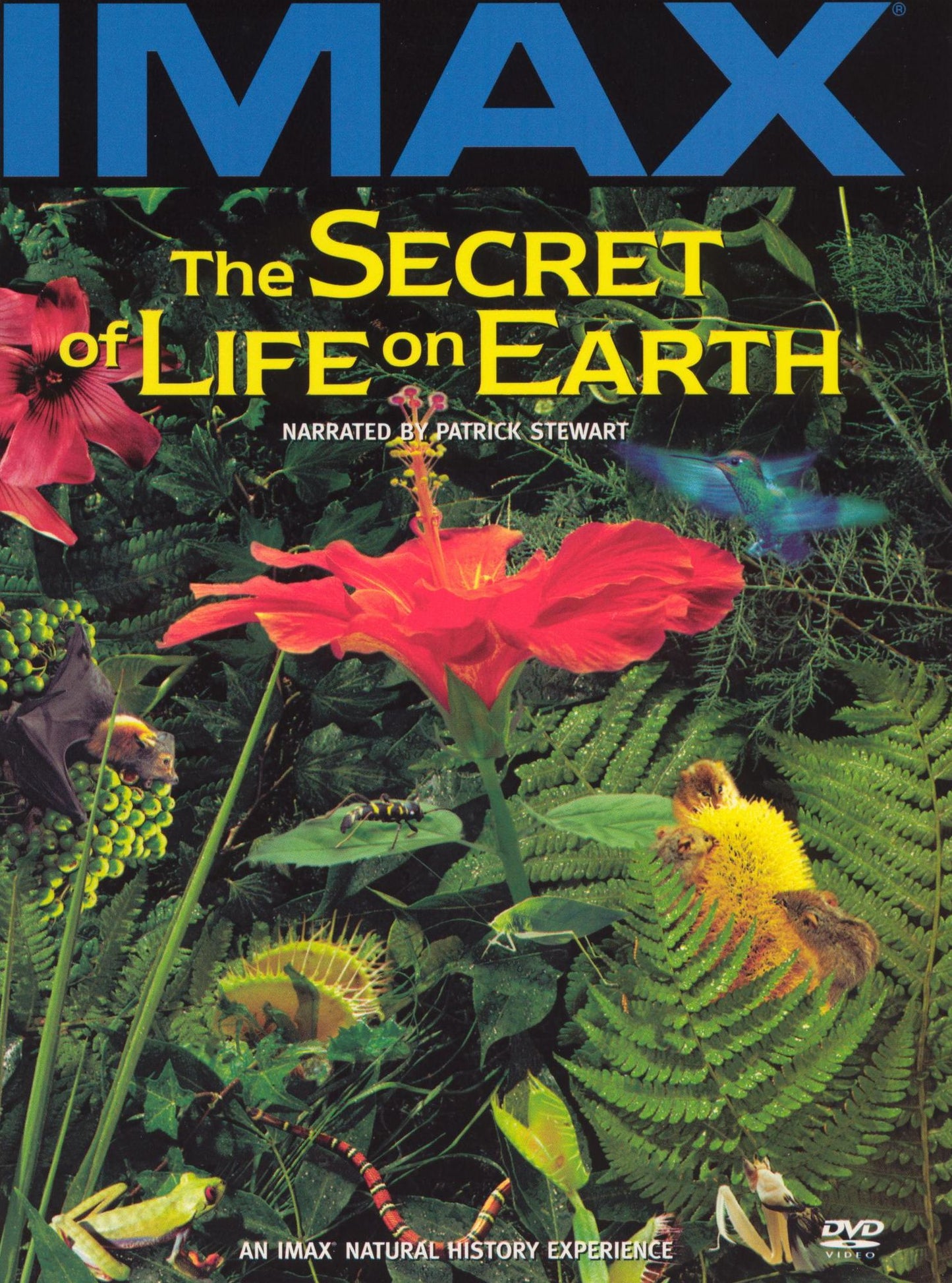 The Secret of Life on Earth