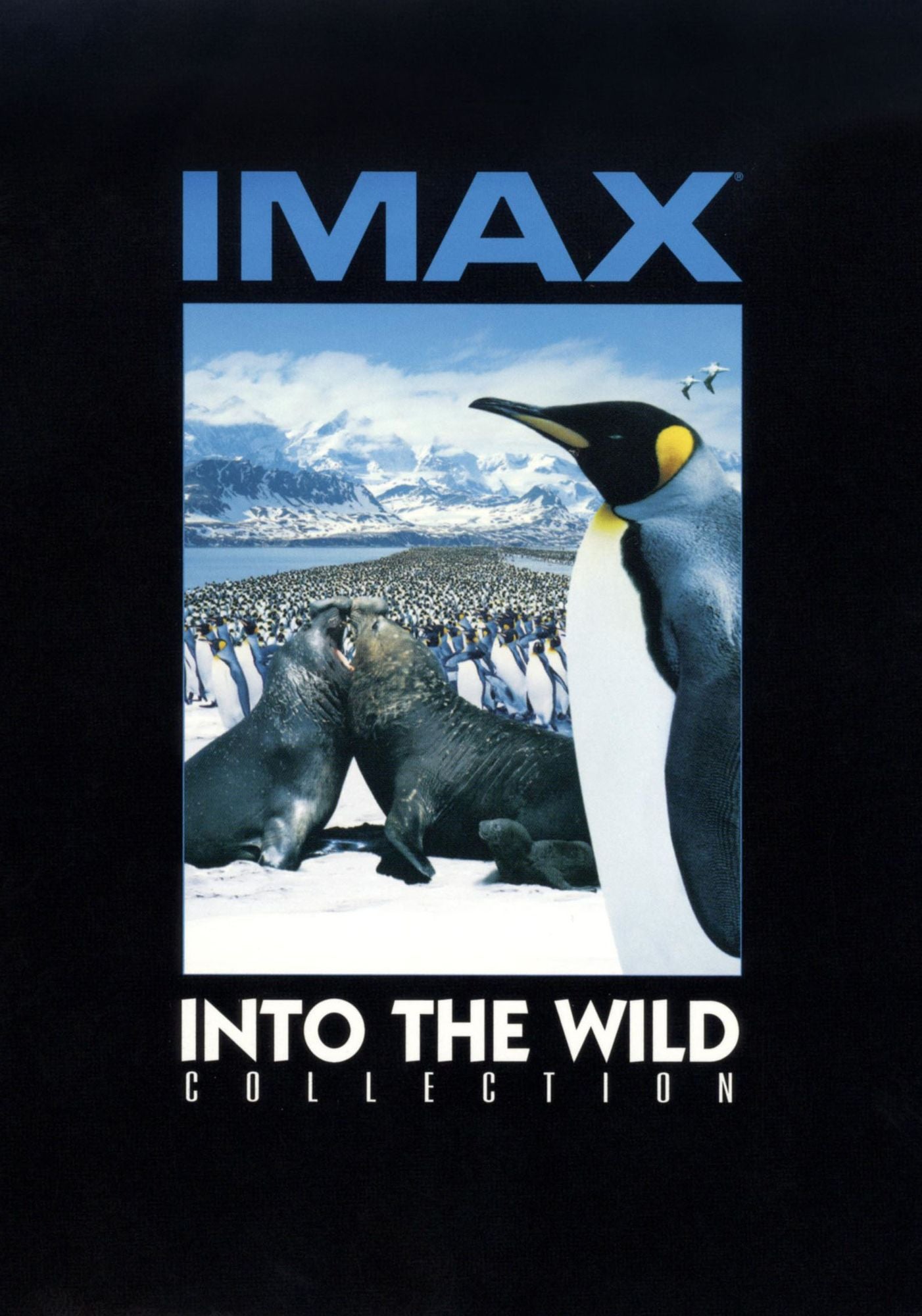 IMAX: Into the Wild Collection [8 Discs]