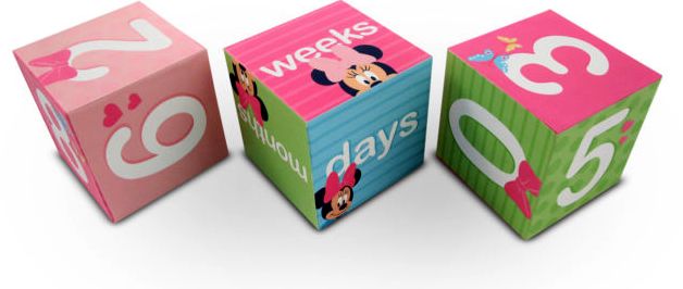 Minnie Mouse Milestone Blocks