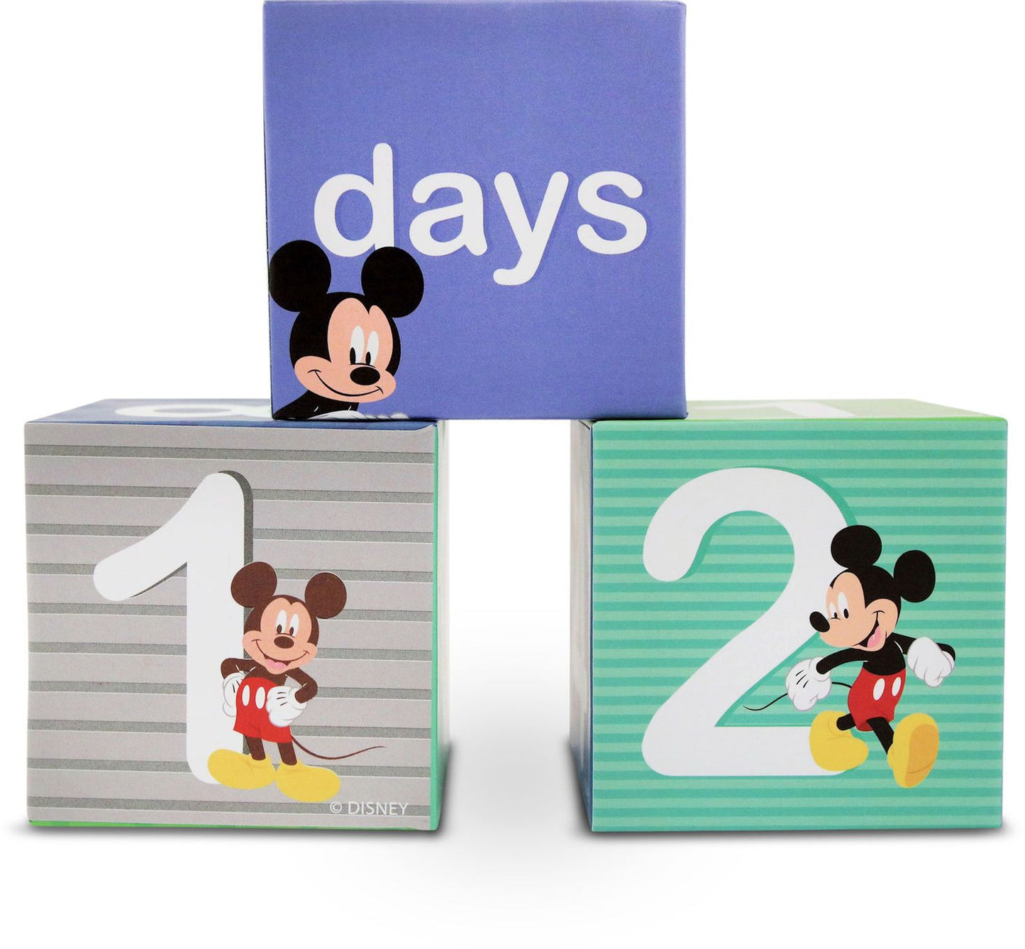 Mickey Mouse Milestone Blocks