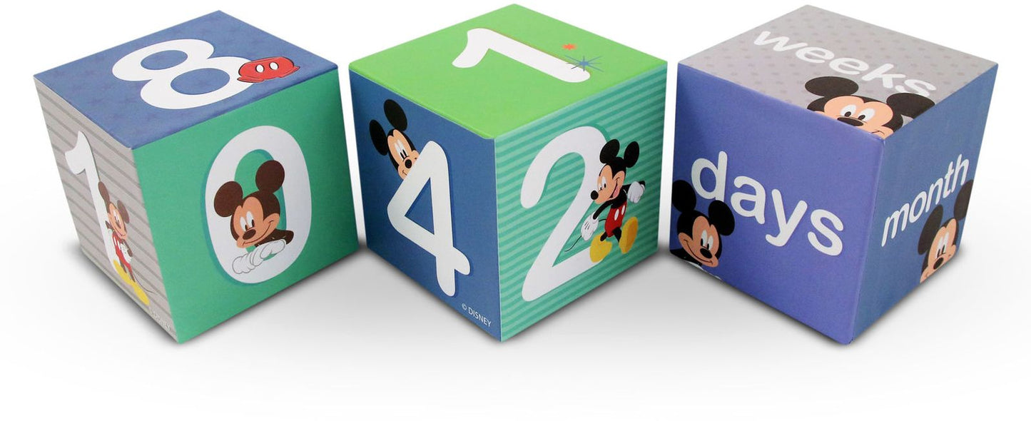 Mickey Mouse Milestone Blocks