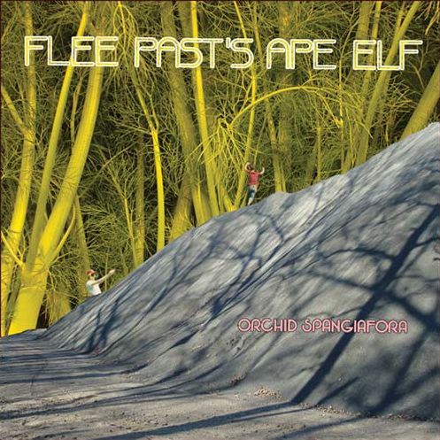 Flee Past's Ape Elf