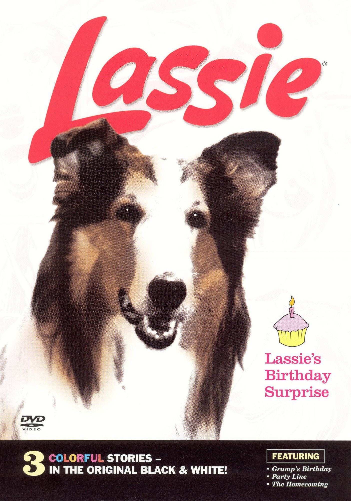 Lassie's Birthday Surprise