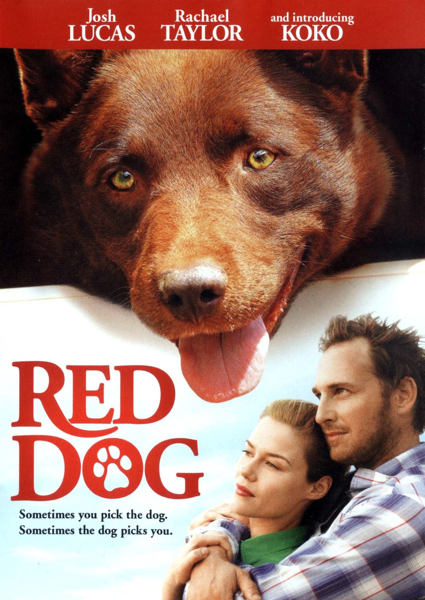 Red Dog