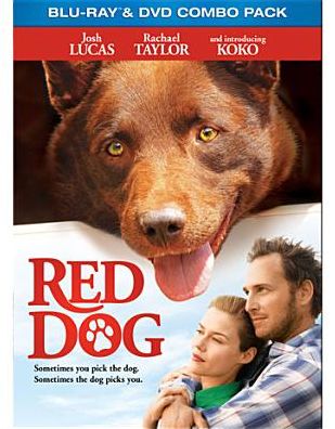 Red Dog [2 Discs] [DVD/Blu-ray]
