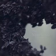 Palingenesis