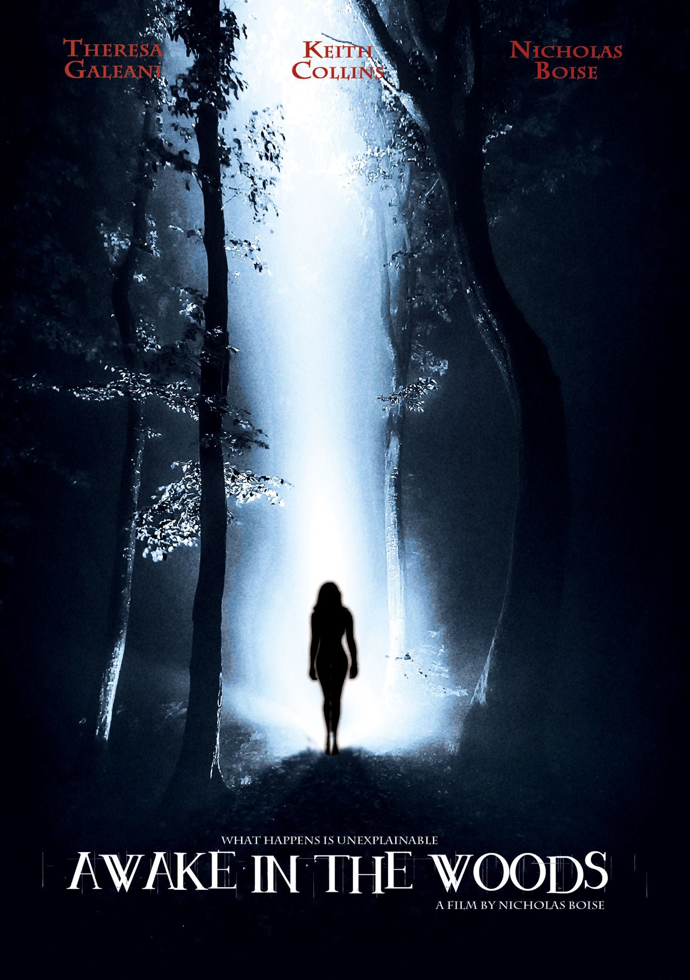Awake in the Woods