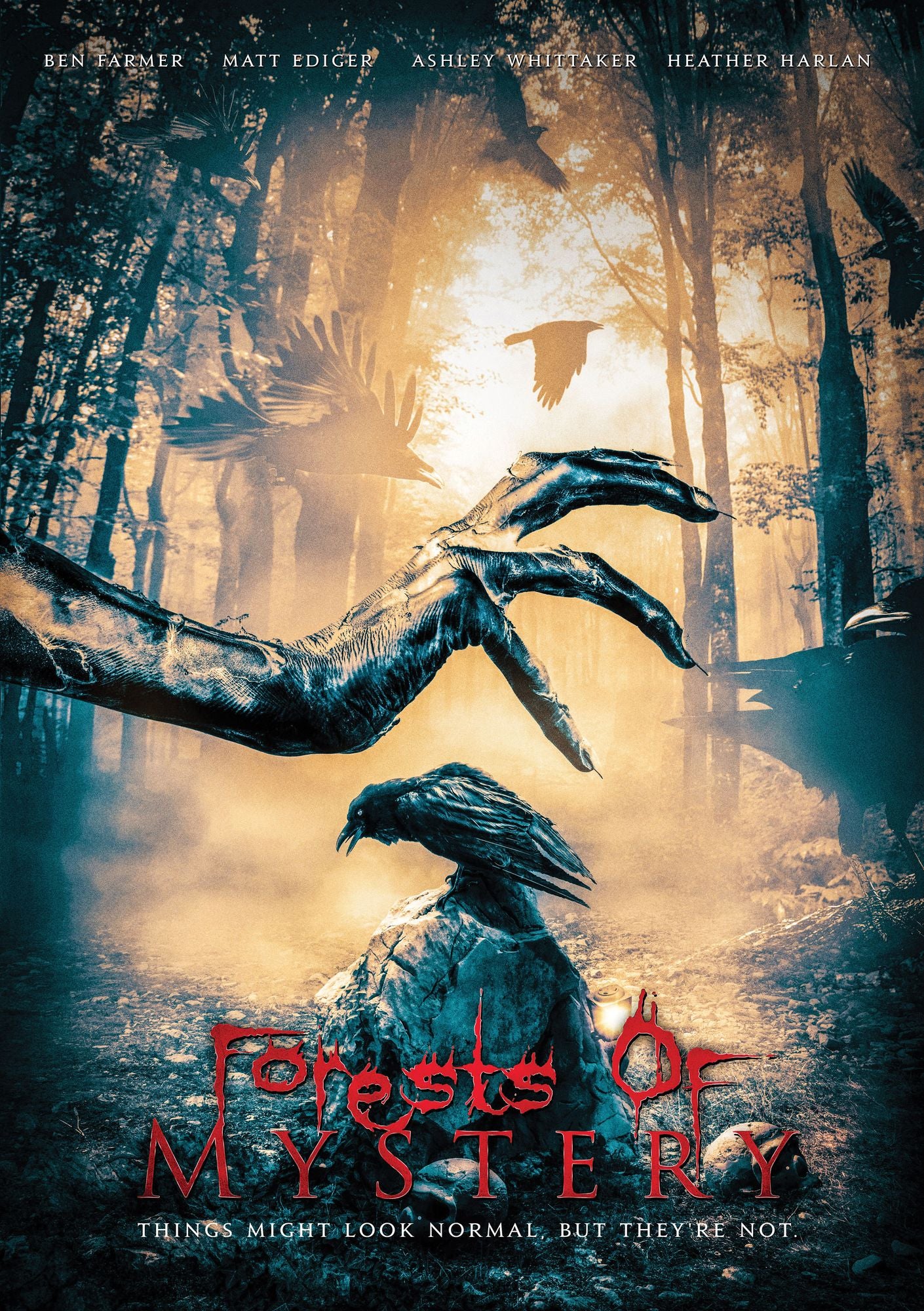 FORESTS OF MYSTERY