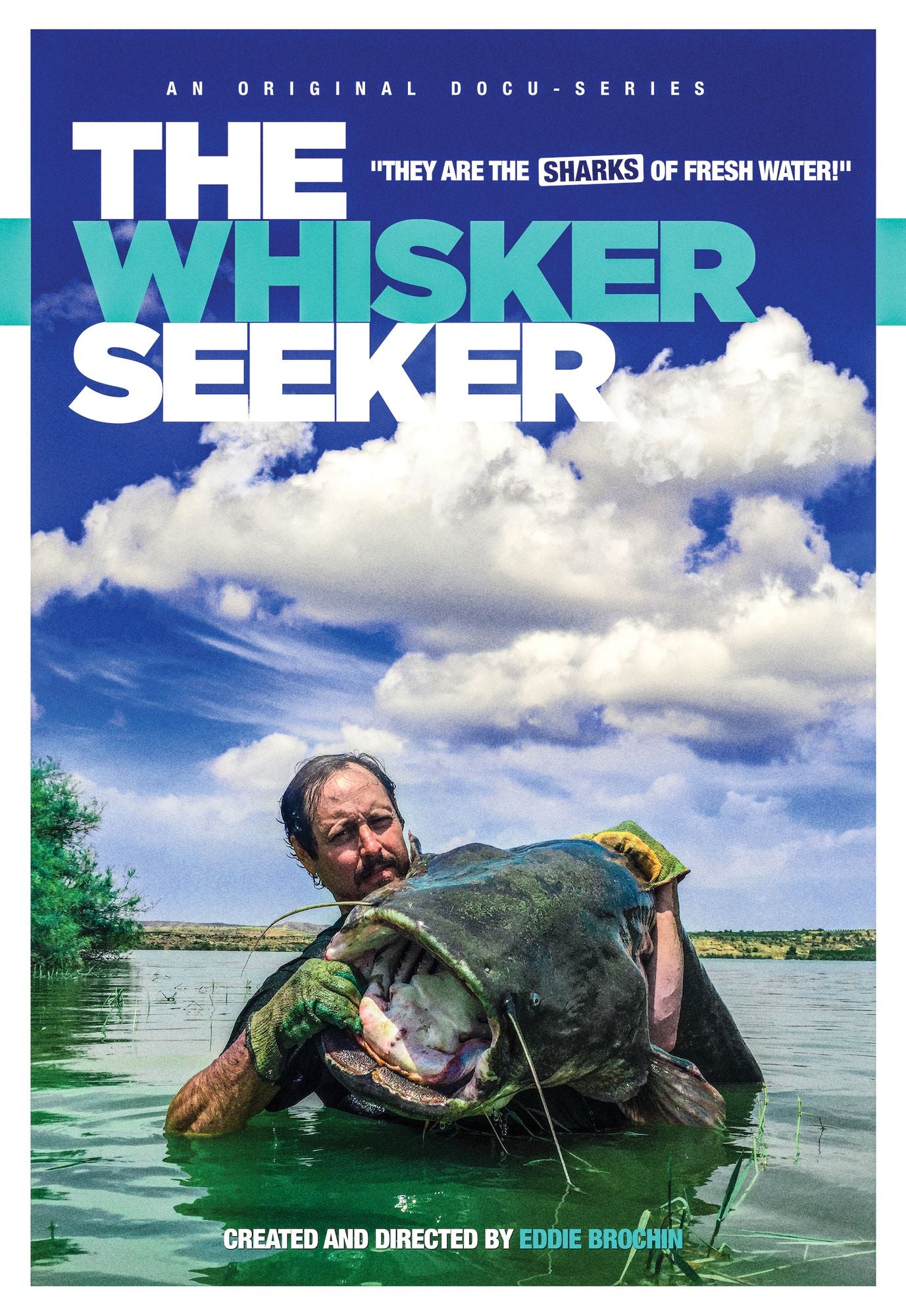 The Whisker Seeker