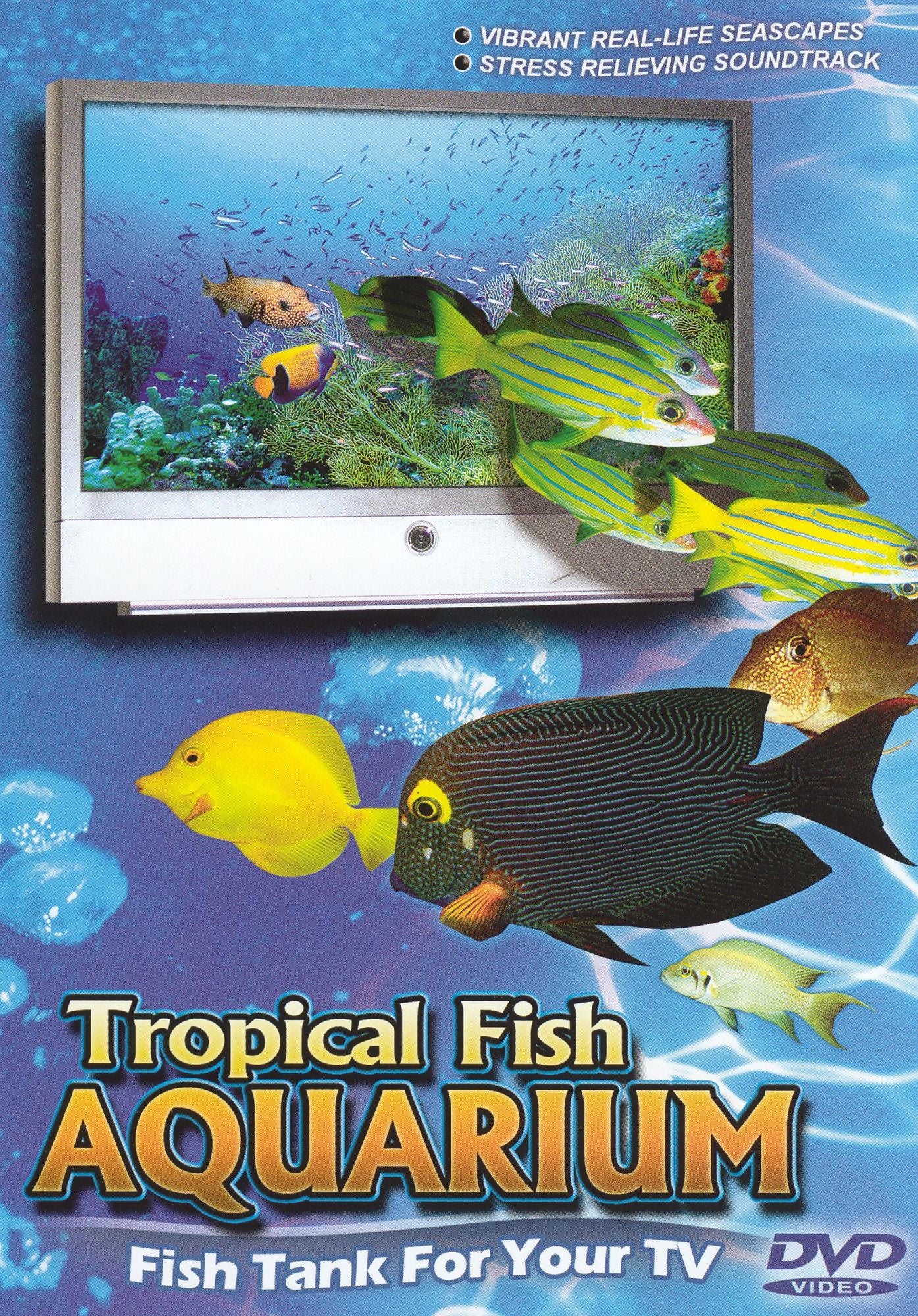 Tropical Fish Aquarium